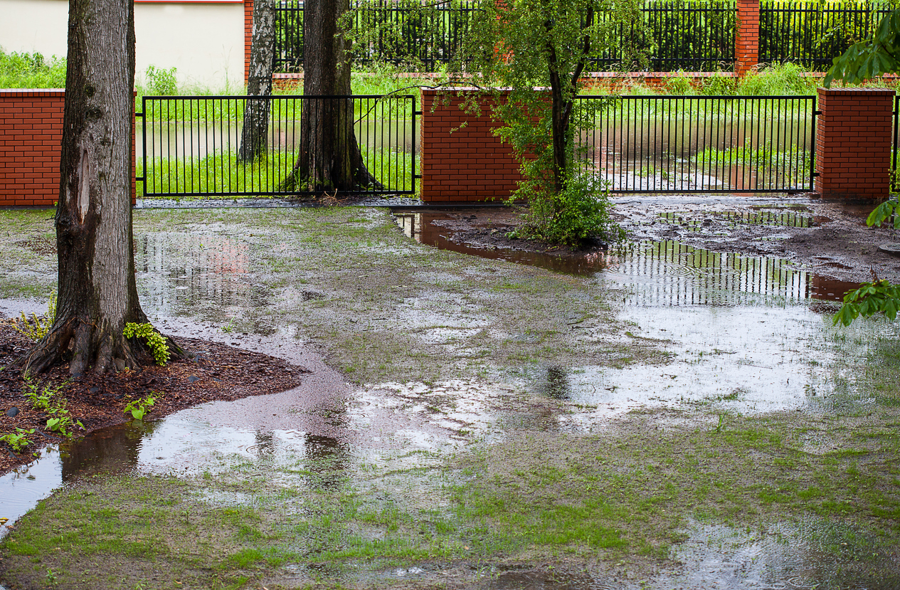 7 Masalah Umum Sistem Drainase Properti Banyak Orang